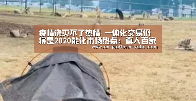 疫情浇灭不了热情 一体化交易仍将是2020能化市场热点:真人百家乐(图2) 真人百家乐