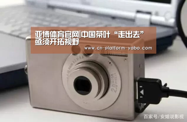 亚博体育官网|中国茶叶“走出去”亟须开拓视野(图1) 真人百家乐