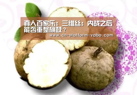 真人百家乐:三维丝:内战之后能否重整旗鼓?(图1) 亚博体育官网