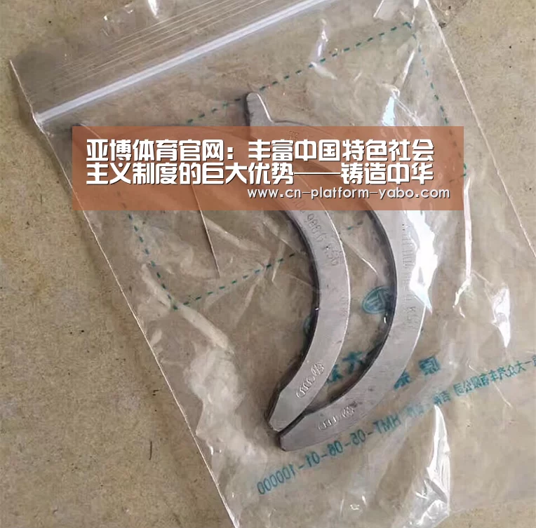 亚博体育官网：丰富中国特色社会主义制度的巨大优势——铸造中华