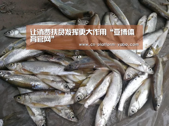 让消费扶贫发挥更大作用“亚博体育官网”(图2) 亚博app