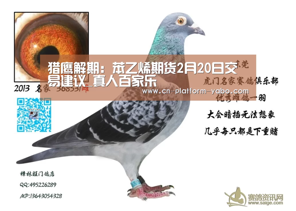 真人百家乐